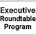 Executive Roundtable Program